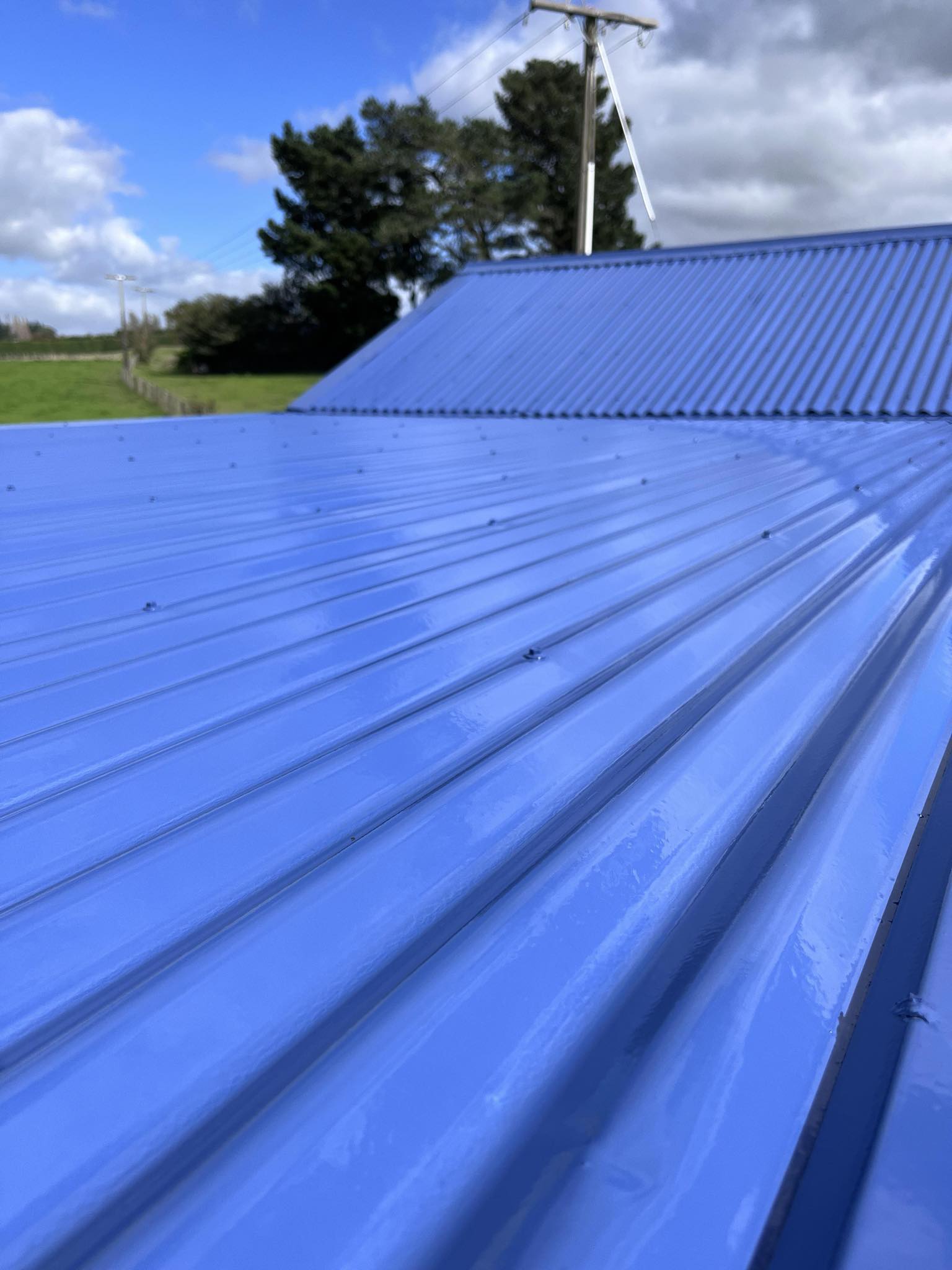 Roof Painting